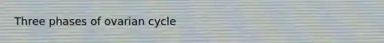 Three phases of ovarian cycle