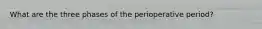 What are the three phases of the perioperative period?