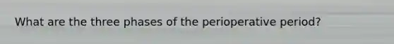 What are the three phases of the perioperative period?