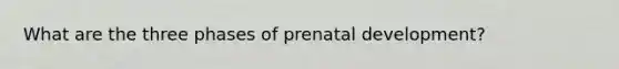 What are the three phases of prenatal development?