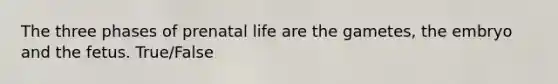 The three phases of prenatal life are the gametes, the embryo and the fetus. True/False
