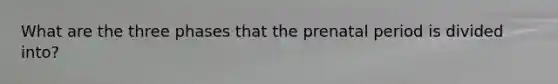 What are the three phases that the prenatal period is divided into?