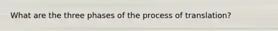 What are the three phases of the process of translation?