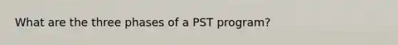 What are the three phases of a PST program?