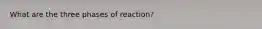 What are the three phases of reaction?