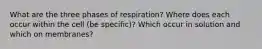 What are the three phases of respiration? Where does each occur within the cell (be specific)? Which occur in solution and which on membranes?