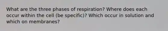 What are the three phases of respiration? Where does each occur within the cell (be specific)? Which occur in solution and which on membranes?