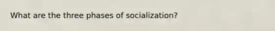 What are the three phases of socialization?