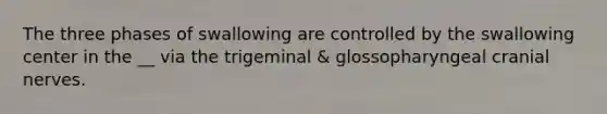 The three phases of swallowing are controlled by the swallowing center in the __ via the trigeminal & glossopharyngeal cranial nerves.