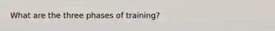 What are the three phases of training?