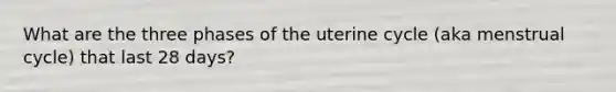 What are the three phases of the uterine cycle (aka menstrual cycle) that last 28 days?