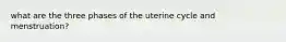 what are the three phases of the uterine cycle and menstruation?