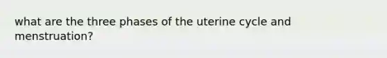 what are the three phases of the uterine cycle and menstruation?