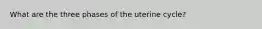 What are the three phases of the uterine cycle?