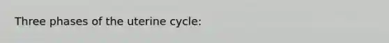 Three phases of the uterine cycle: