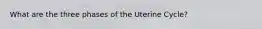 What are the three phases of the Uterine Cycle?