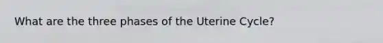 What are the three phases of the Uterine Cycle?