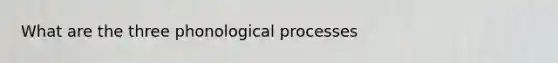 What are the three phonological processes