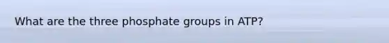 What are the three phosphate groups in ATP?