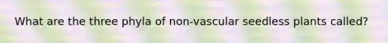 What are the three phyla of non-vascular seedless plants called?