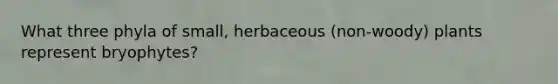 What three phyla of small, herbaceous (non-woody) plants represent bryophytes?