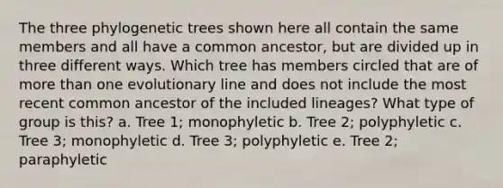 The three phylogenetic trees shown here all contain the same members and all have a common ancestor, but are divided up in three different ways. Which tree has members circled that are of more than one evolutionary line and does not include the most recent common ancestor of the included lineages? What type of group is this? a. Tree 1; monophyletic b. Tree 2; polyphyletic c. Tree 3; monophyletic d. Tree 3; polyphyletic e. Tree 2; paraphyletic