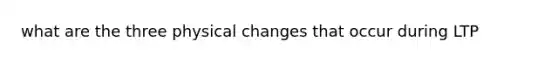 what are the three physical changes that occur during LTP