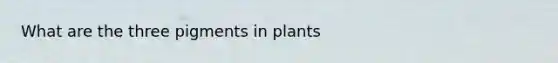 What are the three pigments in plants