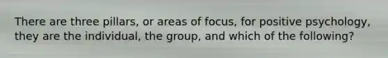 There are three pillars, or areas of focus, for positive psychology, they are the individual, the group, and which of the following?