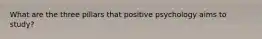 What are the three pillars that positive psychology aims to study?