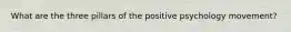 What are the three pillars of the positive psychology movement?