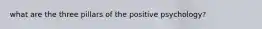 what are the three pillars of the positive psychology?