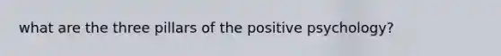 what are the three pillars of the positive psychology?