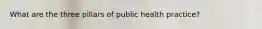 What are the three pillars of public health practice?