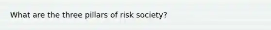 What are the three pillars of risk society?