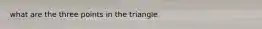 what are the three points in the triangle