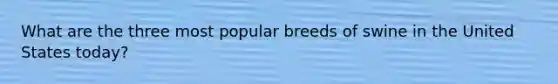 What are the three most popular breeds of swine in the United States today?