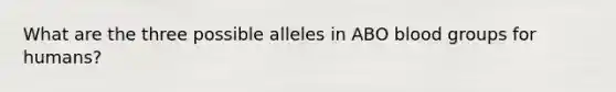 What are the three possible alleles in ABO blood groups for humans?