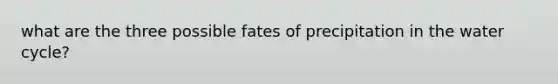 what are the three possible fates of precipitation in the water cycle?