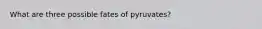 What are three possible fates of pyruvates?