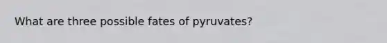 What are three possible fates of pyruvates?