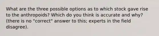 What are the three possible options as to which stock gave rise to the anthropoids? Which do you think is accurate and why? (there is no "correct" answer to this; experts in the field disagree).