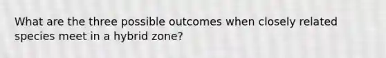 What are the three possible outcomes when closely related species meet in a hybrid zone?