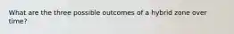 What are the three possible outcomes of a hybrid zone over time?