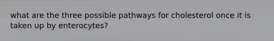 what are the three possible pathways for cholesterol once it is taken up by enterocytes?