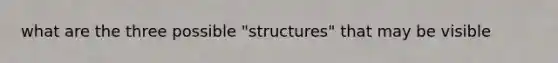 what are the three possible "structures" that may be visible