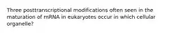 Three posttranscriptional modifications often seen in the maturation of mRNA in eukaryotes occur in which cellular organelle?