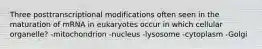 Three posttranscriptional modifications often seen in the maturation of mRNA in eukaryotes occur in which cellular organelle? -mitochondrion -nucleus -lysosome -cytoplasm -Golgi