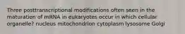 Three posttranscriptional modifications often seen in the maturation of mRNA in eukaryotes occur in which cellular organelle? nucleus mitochondrion cytoplasm lysosome Golgi