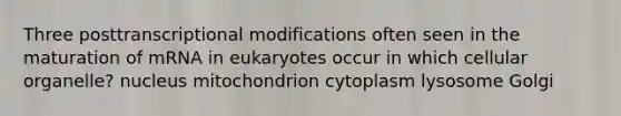 Three posttranscriptional modifications often seen in the maturation of mRNA in eukaryotes occur in which cellular organelle? nucleus mitochondrion cytoplasm lysosome Golgi